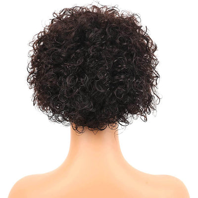 Short Pixie Cut Wigs for Black Women 13x1 Curly Lace Front Human Hair Wigs Remy Brazilian Curly Wigs Transparent Lace Natural Black 6 Inch 150 Density Tight Curls