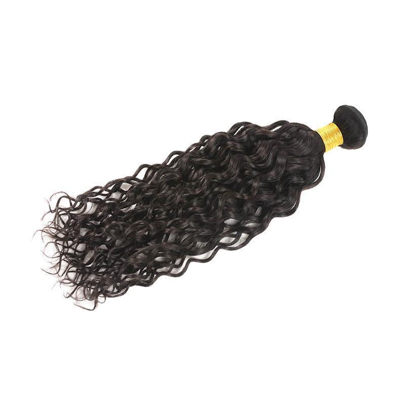 Daimer Brazilian Water Wave 3 Bundles With Closure Human Hair 8-30 Inch Natural Color Remy Hair Weave